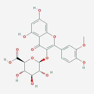 3'-O-Methyl Quercetin 3-O-β-D-Glucuronide图片