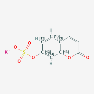 7-Hydroxy Coumarin-13C6 Sulfate Potassium Salt图片