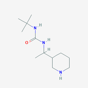 3-tert-Butyl-1-[1-(piperidin-3-yl)ethyl]urea图片