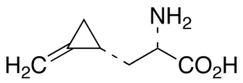 (S)-Hypoglycine A,85%图片