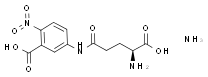 γ-GT图片