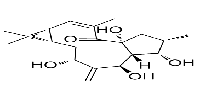 7β-Hydroxylathyrol图片