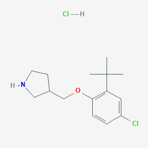 3-{[2-(tert-Butyl)-4-chlorophenoxy]-methyl}pyrrolidine hydrochloride图片