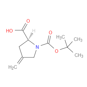 N-BOC-4-亚甲基-L-脯氨酸图片