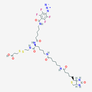 2-{N2-[N6-(4-Azido-2,3,5,6-tetrafluorobenzoyl)-6-aminocaproyl]-N6-(6-biotinamidocaproyl)-L-lysinylamido}] Ethyl 2-Carboxyethyl Disulfide图片