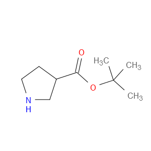 吡咯烷-3-甲酸叔丁酯图片