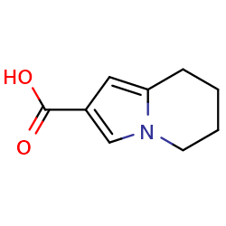 5,6,7,8-tetrahydroindolizine-2-carboxylicacid图片
