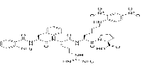 Abz-FR-K(Dnp)-P-OH图片