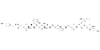 Kisspeptin-10,rat图片