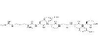 α-Casein 90-95图片