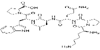 C-Reactive Protein(CRP)201-206图片