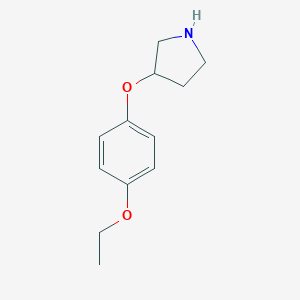 3-(4-Ethoxyphenoxy)pyrrolidine图片