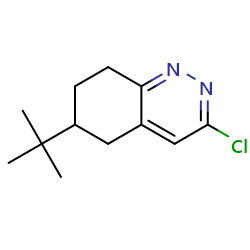 6-tert-butyl-3-chloro-5,6,7,8-tetrahydrocinnoline图片
