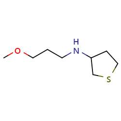 N-(3-methoxypropyl)thiolan-3-amine图片