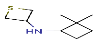 N-(2,2-dimethylcyclobutyl)thietan-3-amine图片