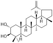 Lup-20(29)-ene-2α,3β-diol图片