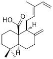 8(17),12E,14-Labdatrien-20-oic acid图片