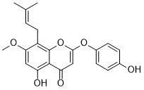 7-O-Methylepimedonin G图片