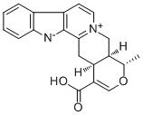 黄嘌呤四环素E图片