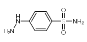 Phenylhydrazine-4-sulfonamide图片
