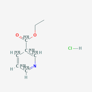 Ethyl Nicotinate-1,2',3',4',5',6'-13C6 Hydrochloride Salt图片