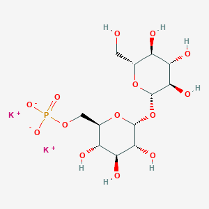 Trehalose 6-Phosphate Dipotassium Salt图片