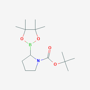 N-Boc H-Boroproline Pinacol图片