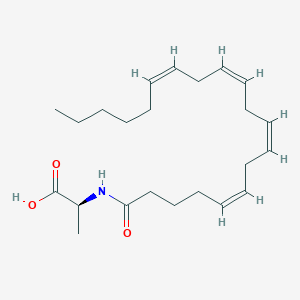 N-Arachidonoyl-(L)-alanine(NA-Ala)图片