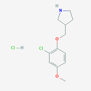 3-[(2-Chloro-4-methoxyphenoxy)methyl]pyrrolidinehydrochloride图片