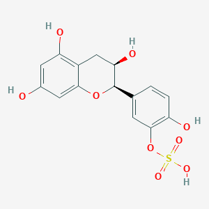 3'-O-Sulfate-Epicatechin图片