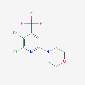 4-[5-Bromo-6-chloro-4-(trifluoromethyl)pyridin-2-yl]morpholine图片