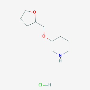 3-(Tetrahydro-2-furanylmethoxy)piperidine hydrochloride图片
