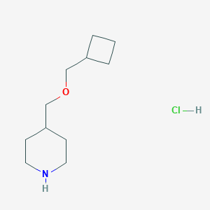 Cyclobutylmethyl 4-piperidinylmethyl etherhydrochloride图片