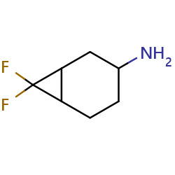7,7-difluorobicyclo[4,1,0]heptan-3-amine图片