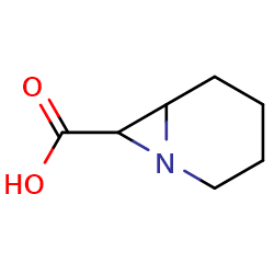 1-azabicyclo[4,1,0]heptane-7-carboxylicacid图片