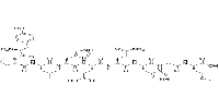 CEF19,Epstein-Barr Virus latent NA-3A 458-466图片