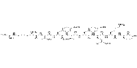β-catenin peptide图片