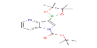 tert-butyl3-(tetramethyl-1,3,2-dioxaborolan-2-yl)-1H-pyrrolo[3,2-b]pyridine-1-carboxylate图片