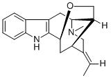 泰伯汀图片