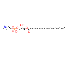 1-Palmitoyl-sn-glycero-3-phosphocholine