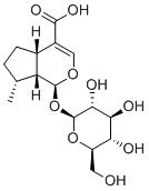 8-Epideoxyloganic acid图片