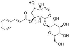6-Epiharpagoside图片