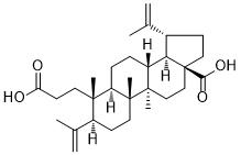 3,4-Secolupa-4(23),20(29)-diene-3,28-dioic acid图片