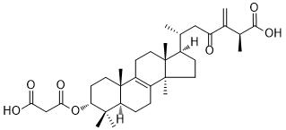 24(31)-Dehydrocarboxyacetylquercinic acid图片