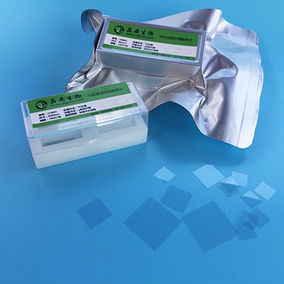 J24001-24孔板配套用圆形细胞爬片图片