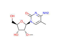 5-METHYL-2'-O-METHYLCYTIDINE
