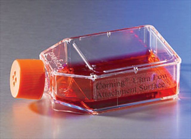 Corning<sup>®</sup> Ultra-Low attachment cell culture flasks