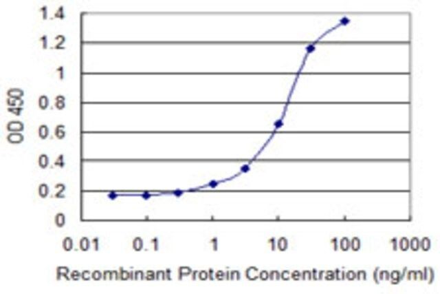Monoclonal Anti-KLK14 antibody produced in mouse