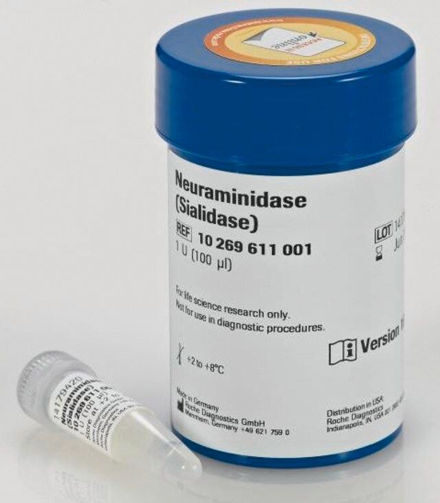 Neuraminidase (Sialidase)