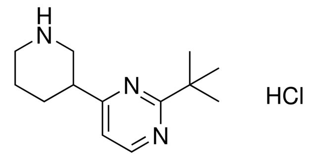 2-(tert-Butyl)-4-(piperidin-3-yl)pyrimidine hydrochloride
